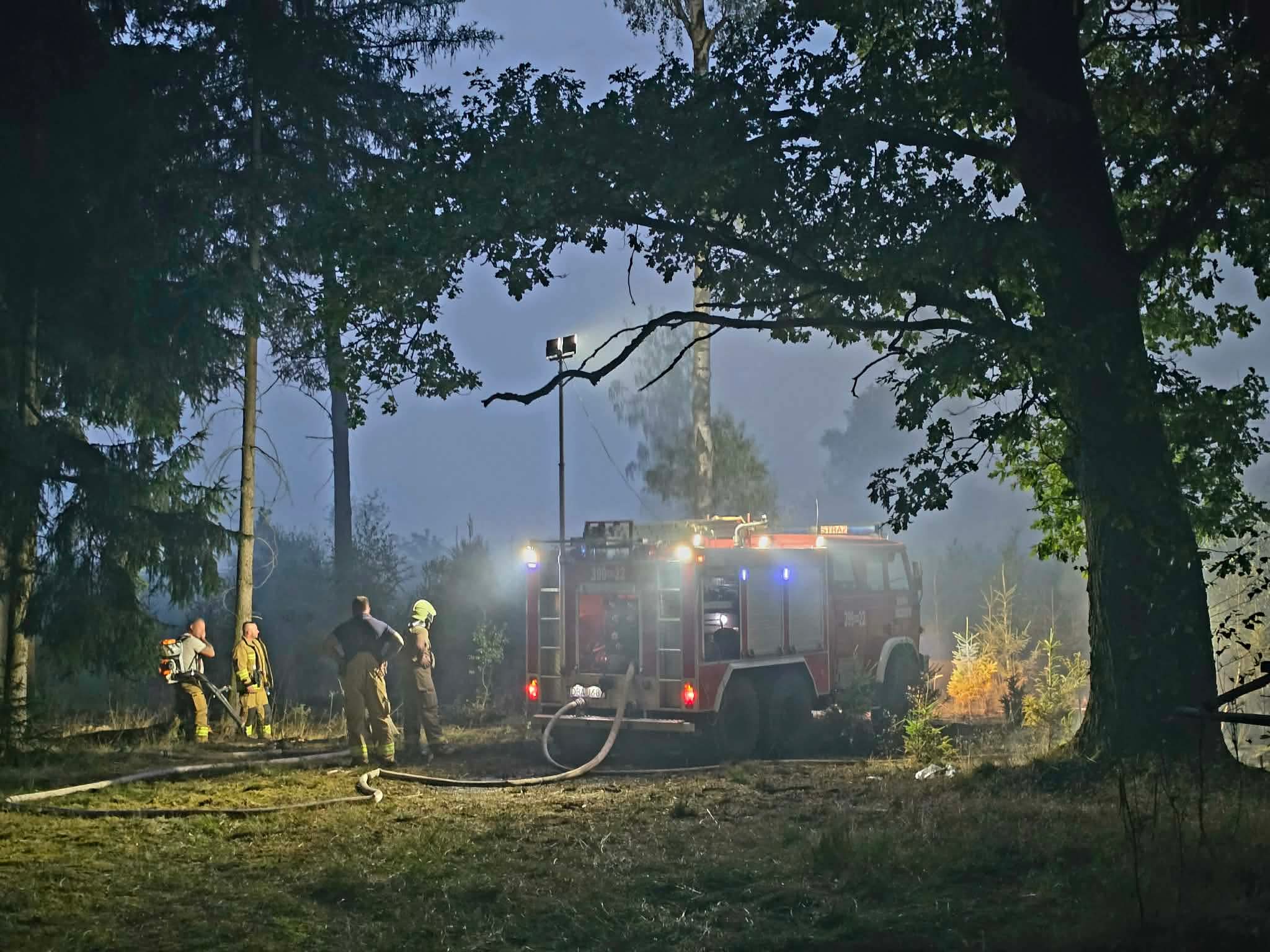Potężny pożar lasu na granicy Jaczkowa i Sędzisławia